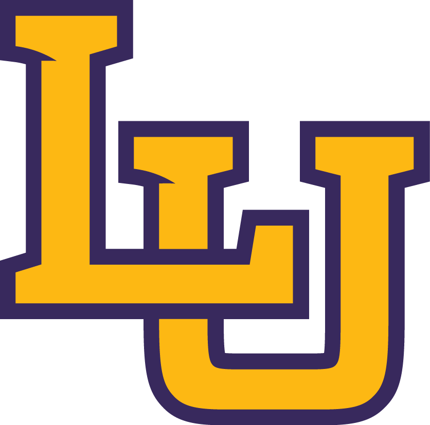 Lipscomb Bisons 2012-2013 Primary Logo diy iron on heat transfer